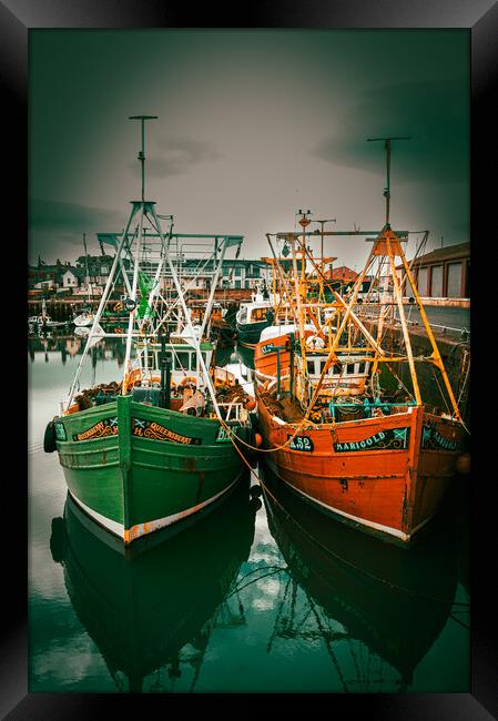 Fishing Boats in Arbroath Harbour Scotland. Framed Print by DAVID FRANCIS