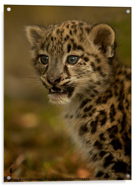 Snow Leopard Cub Acrylic by Karl Thompson