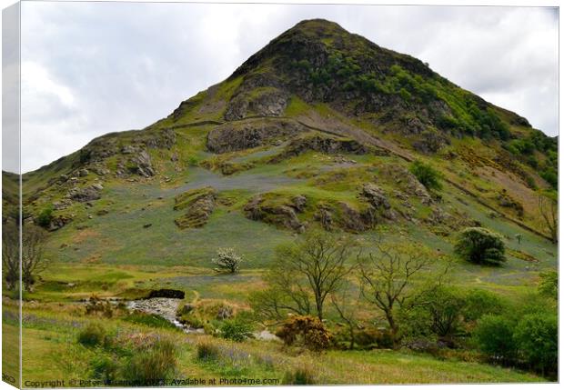 Bluebells on slope of Rannerdale Knotts in the Lak Canvas Print by Peter Wiseman