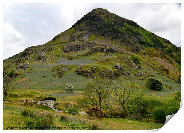 Bluebells on slope of Rannerdale Knotts in the Lak Print by Peter Wiseman