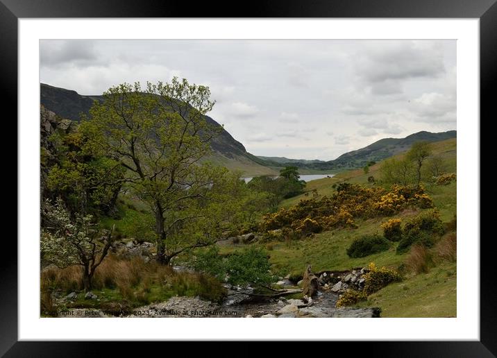 View down the beck in Rannerdale Valley, towards C Framed Mounted Print by Peter Wiseman