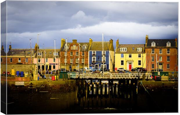 Colourful Houses at Arbroath Harbour Scotland Canvas Print by DAVID FRANCIS
