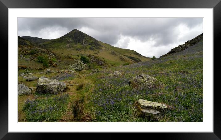 View up Rannerdale Valley with Whiteless Pike in t Framed Mounted Print by Peter Wiseman