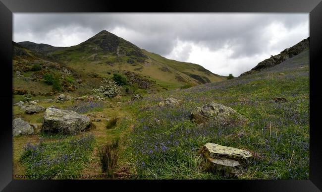 View up Rannerdale Valley with Whiteless Pike in t Framed Print by Peter Wiseman