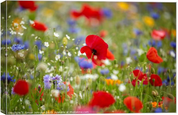 wild flower meadow with Poppy Canvas Print by Simon Johnson