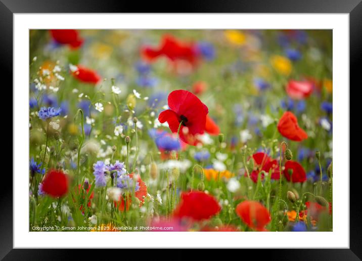 wild flower meadow with Poppy Framed Mounted Print by Simon Johnson