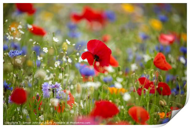 wild flower meadow with Poppy Print by Simon Johnson