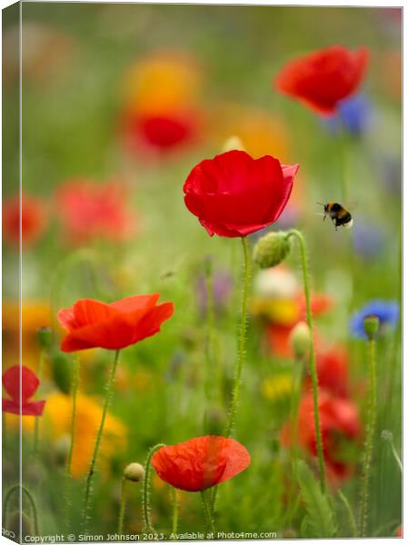 poppy flower with bee Canvas Print by Simon Johnson