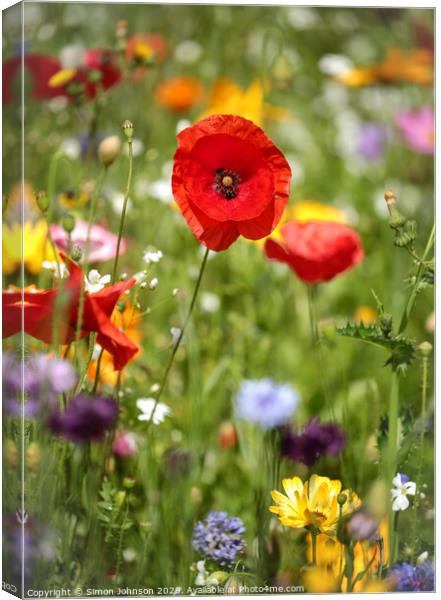 Poppy and wild flower meadow Canvas Print by Simon Johnson