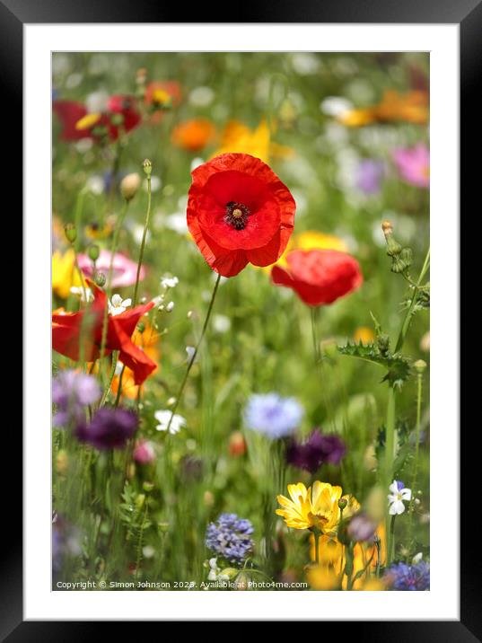 Poppy and wild flower meadow Framed Mounted Print by Simon Johnson