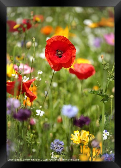 Poppy and wild flower meadow Framed Print by Simon Johnson