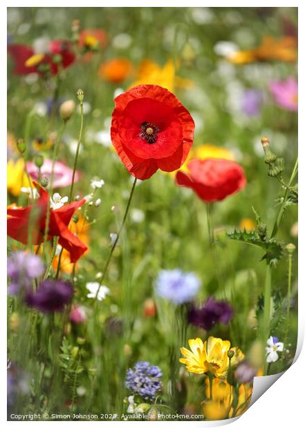 Poppy and wild flower meadow Print by Simon Johnson