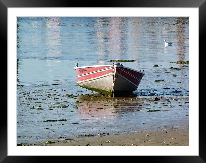 boat Framed Mounted Print by adam cooper