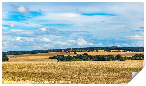 Summer rural landscape with fields and forests Print by Sergey Fedoskin