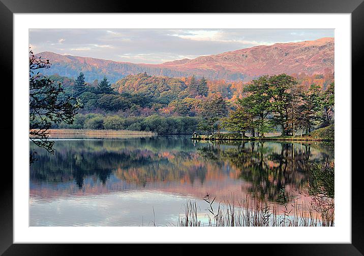 Early Morning Rydal Water. Framed Mounted Print by Irene Burdell