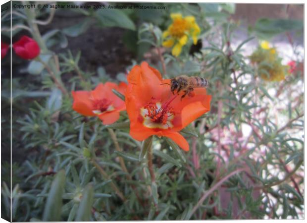 Nectar Quest: Bee's Floral Alighting Canvas Print by Ali asghar Mazinanian
