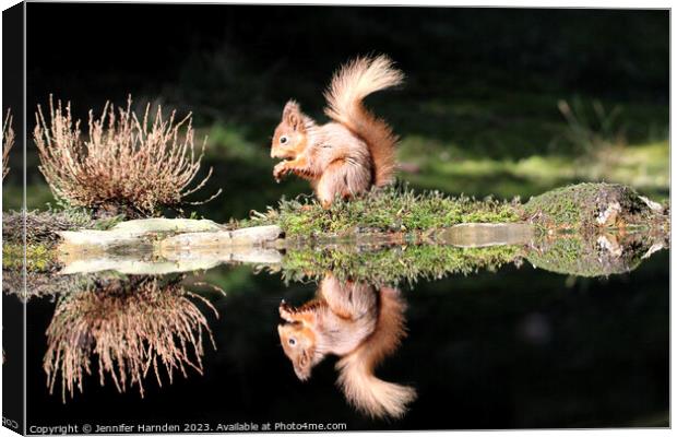 Red Squirrel Reflection Canvas Print by Jennifer Harnden