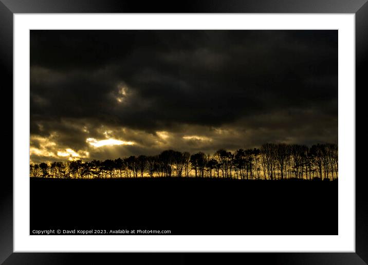 Treeline Framed Mounted Print by David Koppel