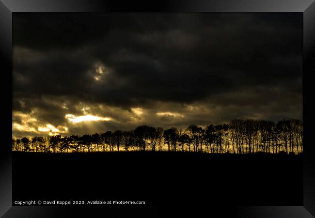 Treeline Framed Print by David Koppel