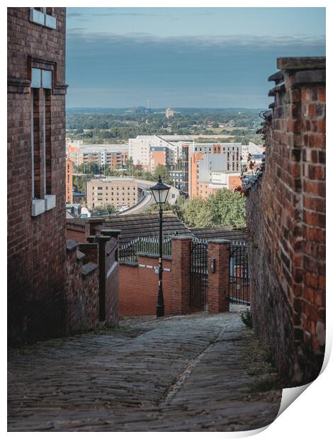 The views over Lincoln Print by Andrew Scott
