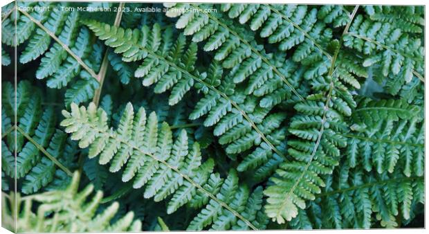 Ferns - Lush Natural Tapestry Canvas Print by Tom McPherson