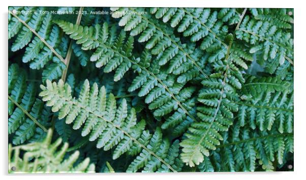 Ferns - Lush Natural Tapestry Acrylic by Tom McPherson