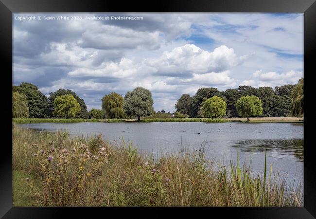 Dry day after the rains at Bushy Park Surrey Framed Print by Kevin White