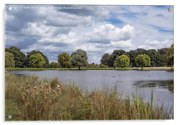 Dry day after the rains at Bushy Park Surrey Acrylic by Kevin White