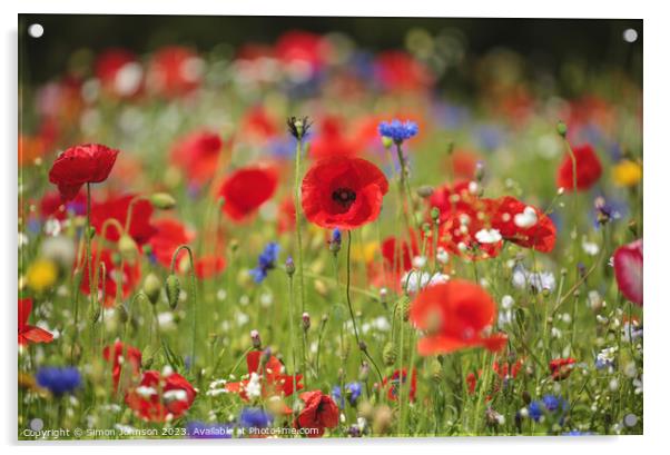 Sunlit Poppy  field Acrylic by Simon Johnson
