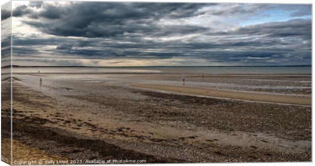 Puckpool Sands Isle of Wight Canvas Print by Sally Lloyd