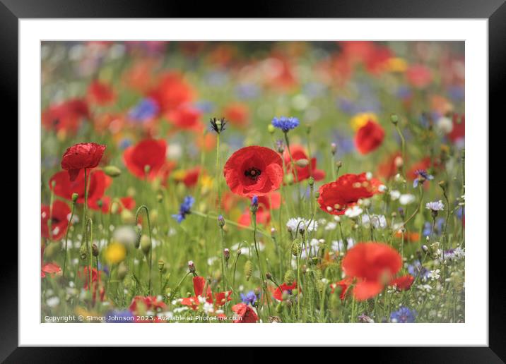 Floral Extravaganza: An Outdoor Delight Framed Mounted Print by Simon Johnson