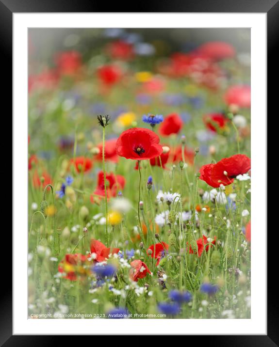 Vibrant Meadow's Floral Ensemble Framed Mounted Print by Simon Johnson