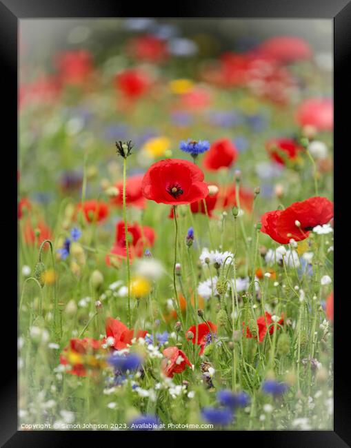 Vibrant Meadow's Floral Ensemble Framed Print by Simon Johnson