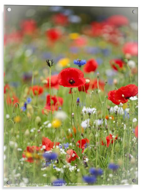 Vibrant Meadow's Floral Ensemble Acrylic by Simon Johnson