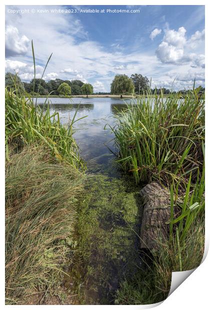 Start of green algae growing in the ponds Print by Kevin White