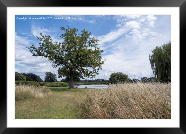 Path through the long grass at Bushy Park Framed Mounted Print by Kevin White