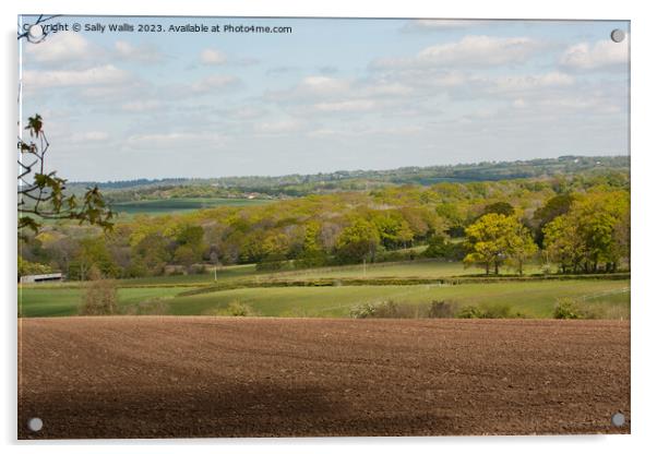 View towards Heathfield Acrylic by Sally Wallis