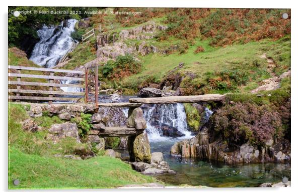 Afon Cwm Llan on The Watkin Path Acrylic by Pearl Bucknall