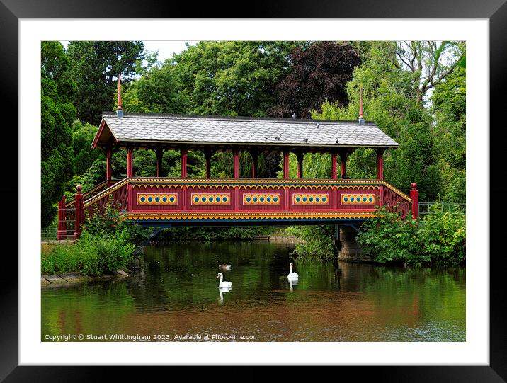 Birkenhead Park Swiss Bridge With Swans Swimming Framed Mounted Print by Stuart Whittingham