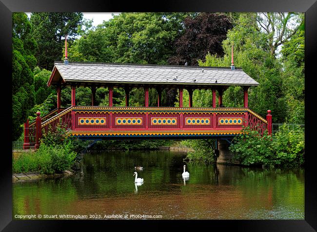 Birkenhead Park Swiss Bridge With Swans Swimming Framed Print by Stuart Whittingham