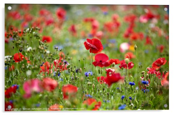 Close-Up of Vibrant Wild Poppy Acrylic by Simon Johnson