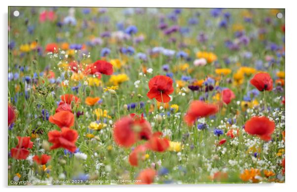 Vibrant and Unique Wildflower Display Acrylic by Simon Johnson