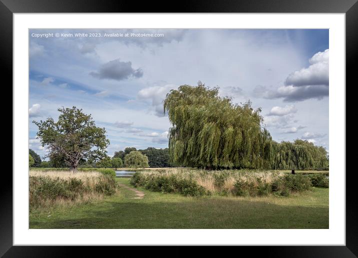 Perfect August afternoon at Bushy Park ponds Framed Mounted Print by Kevin White