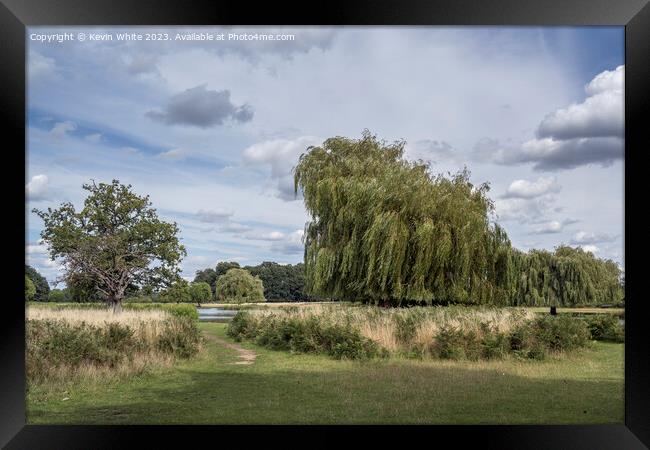 Perfect August afternoon at Bushy Park ponds Framed Print by Kevin White