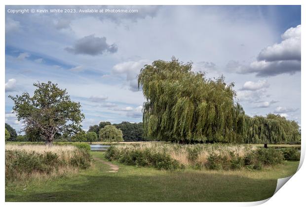 Perfect August afternoon at Bushy Park ponds Print by Kevin White