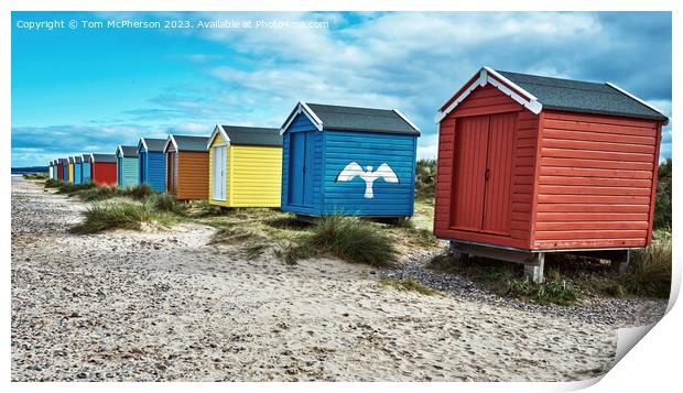 Hidden Coastal Jewel: Findhorn Beach Huts Print by Tom McPherson