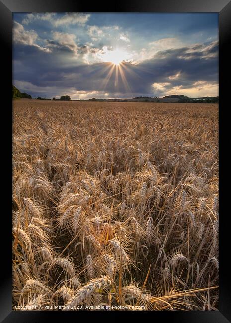 Sunburst over Wheatfield Framed Print by Paul Martin