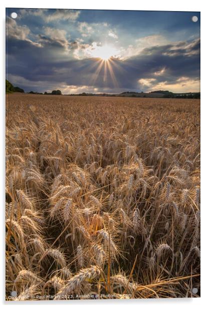 Sunburst over Wheatfield Acrylic by Paul Martin