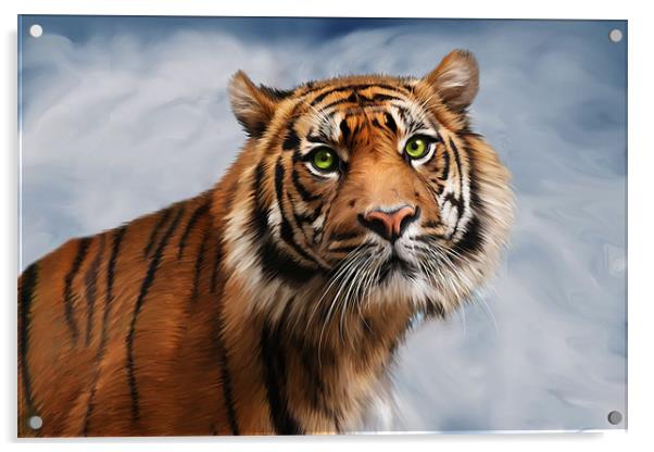 Sumatran Tiger on Blue Acrylic by Julie Hoddinott