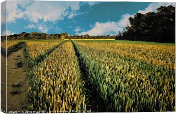 Barley Field  Suffolk Canvas Print by David Mccandlish